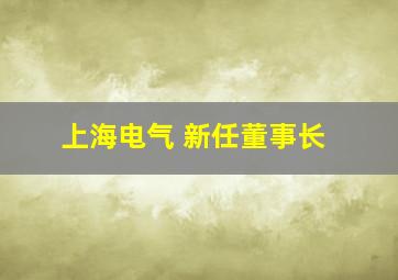 上海电气 新任董事长